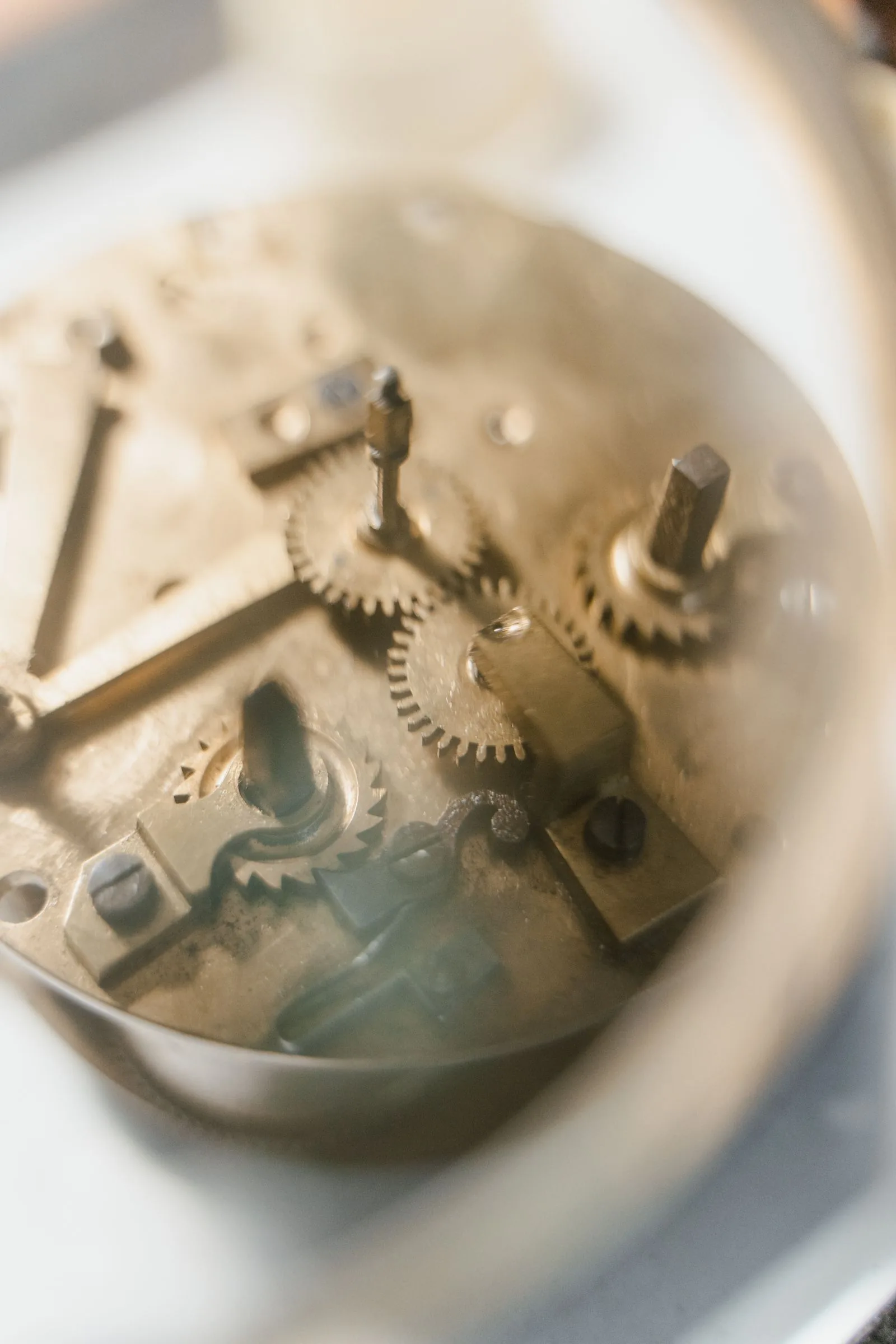 Macro of small gears and a ratchet wheel inside a movement, the part a Tudor guarantee covers wherever you buy in the UK