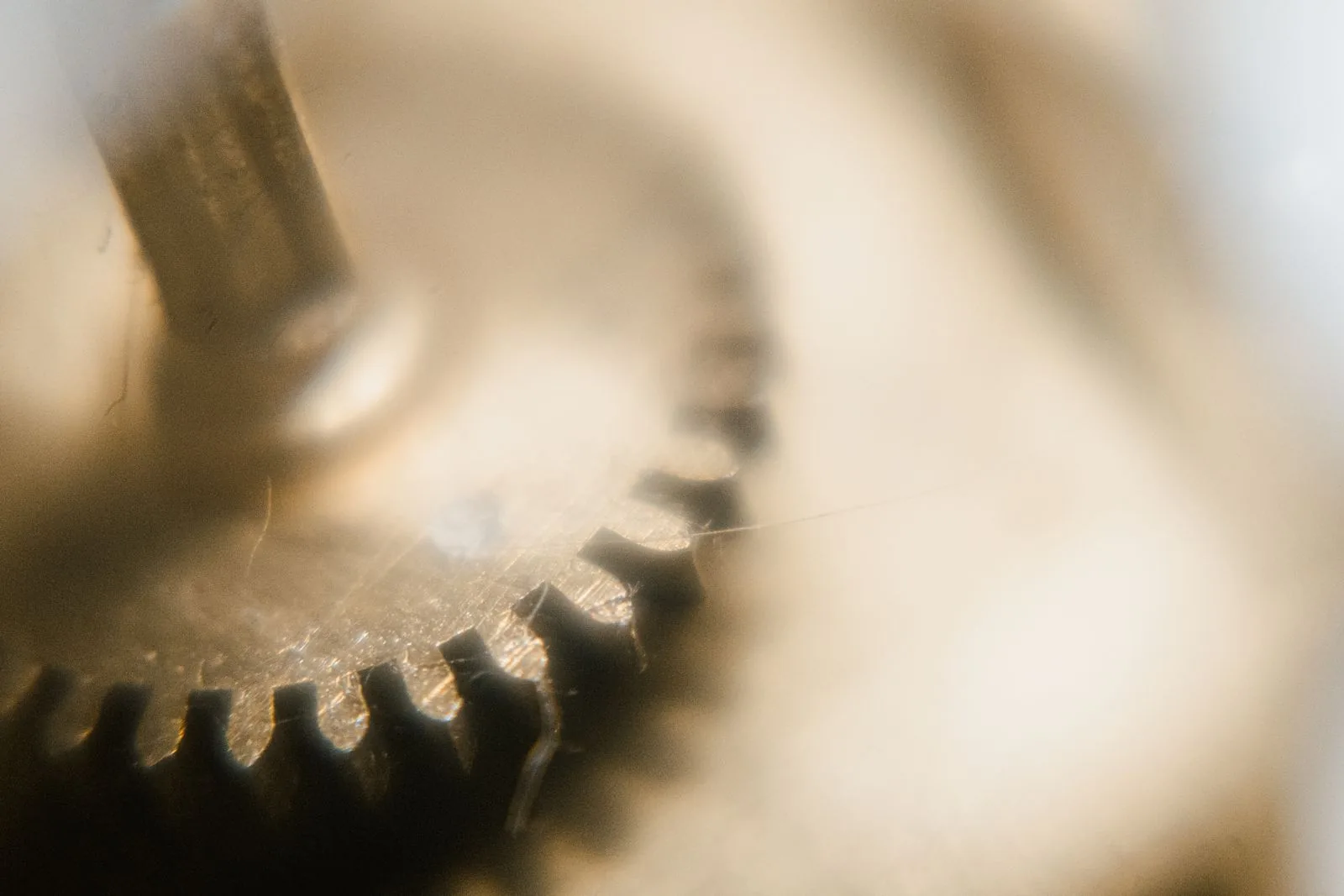 Soft macro of a brass gear wheel, the kind of movement part a watchmaker checks when a watch has been serviced