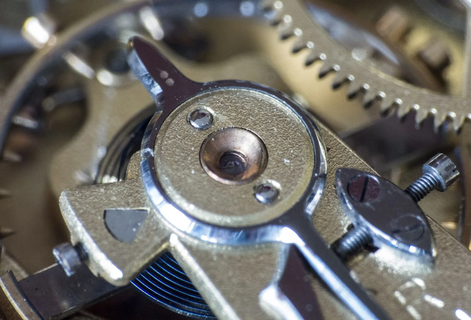 Macro of a mainspring and gear wheel inside a movement; service history is a key question before buying a used watch